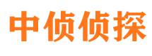 安乡市婚外情调查